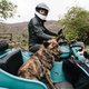 Image for article titled Everything You Ever Wanted To Know About Motorcycle Safety Gear